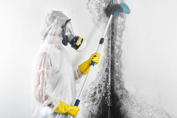 Best Mold Documentation for Insurance Claims  in Abbeville, GA