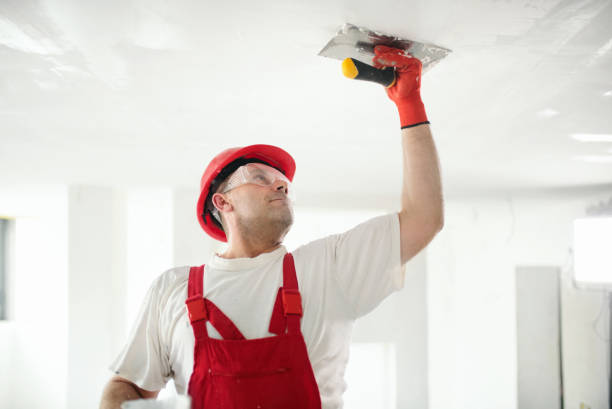 Best Mold Removal for HVAC Installations  in Abbeville, GA