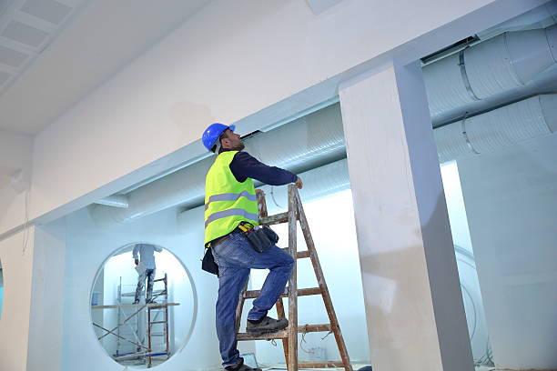 Best Industrial Mold Remediation  in Abbeville, GA