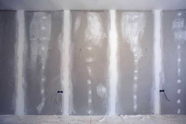 Best Industrial Mold Remediation  in Abbeville, GA